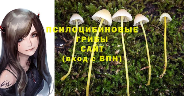 apvp Верхнеуральск