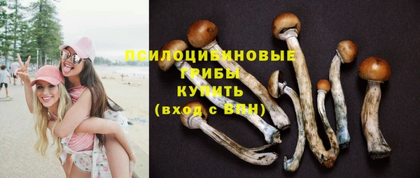 СК Бородино