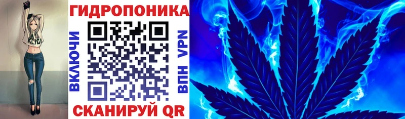 Канабис гибрид  Гулькевичи 